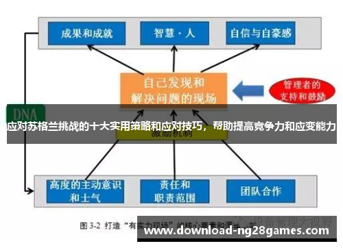 应对苏格兰挑战的十大实用策略和应对技巧，帮助提高竞争力和应变能力